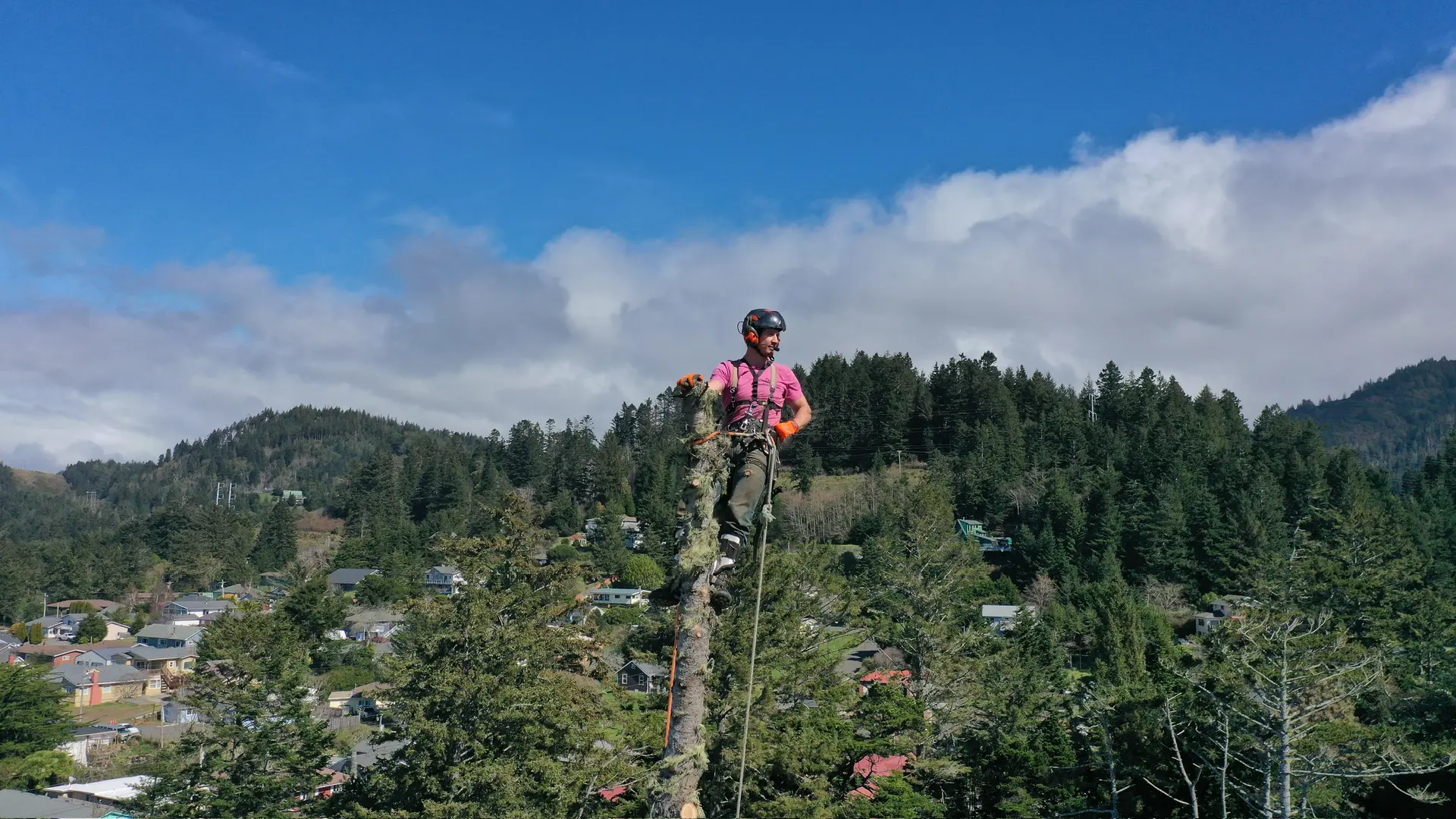 Arborist overlooking the service area