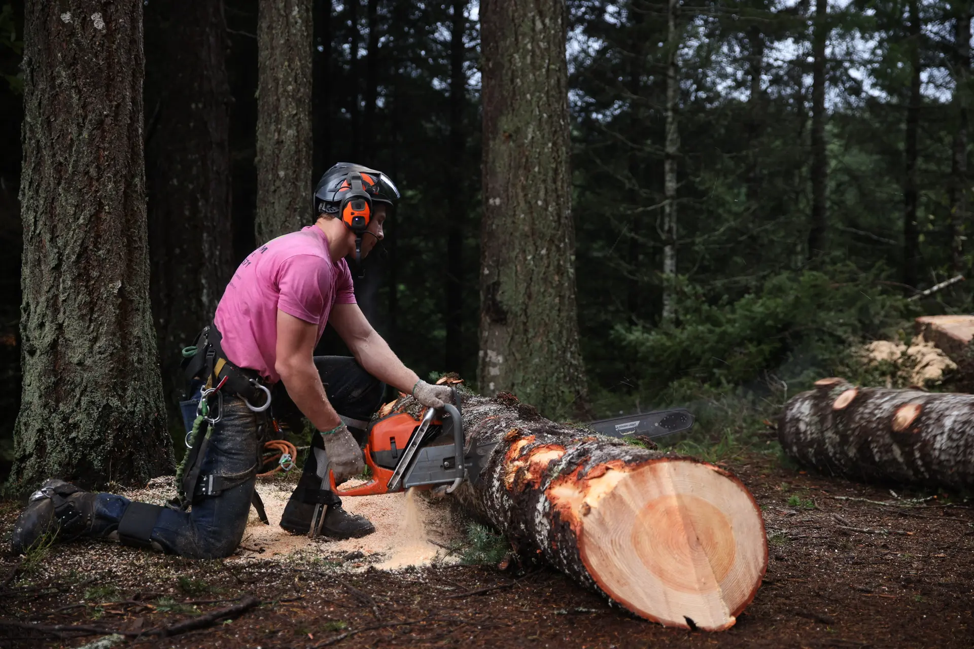 Tree care crew by Tilikum Tree Care in Curry County Oregon