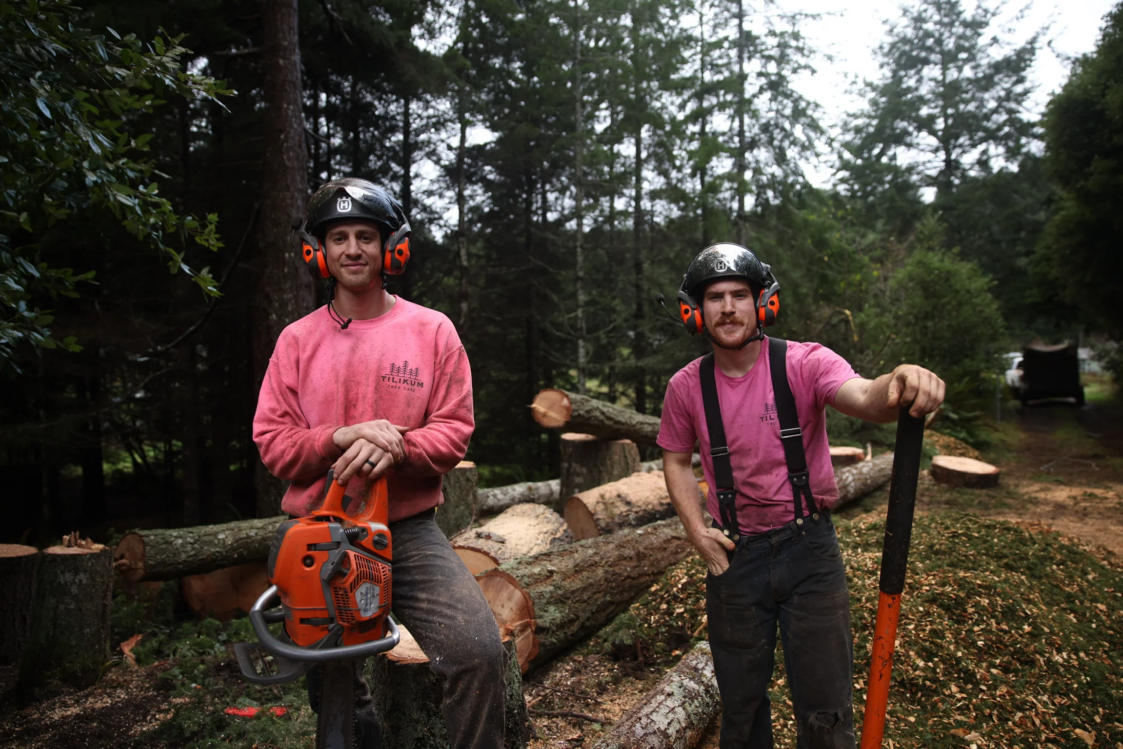 Professional Arborists - Tilikum Tree Care